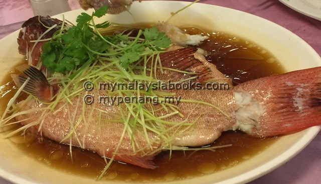 steam fish